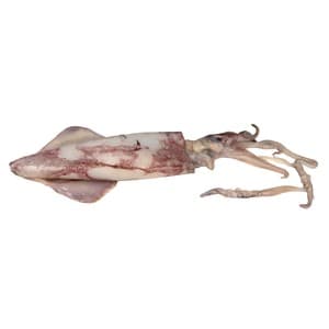 Pequeño